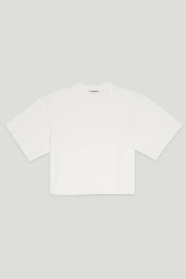 TOKYO CROP TEE L VINTAGE CLAY