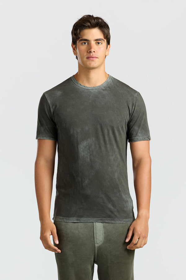 Classic Crewneck Tee VINTAGE ALPINE