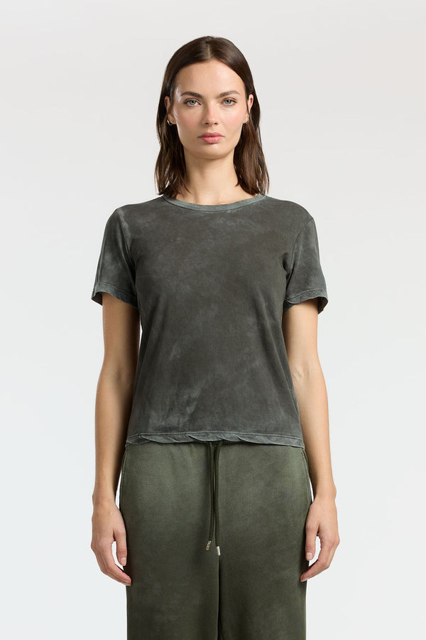 STANDARD TEE VINTAGE ALPINE
