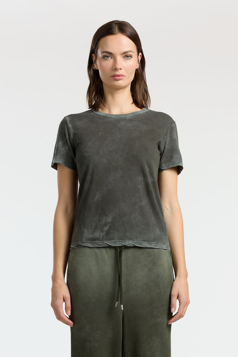 STANDARD TEE VINTAGE ALPINE